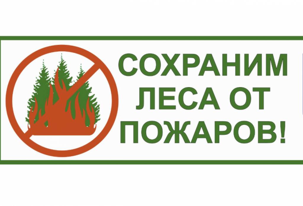 Акция «Сохраним леса от пожаров!».