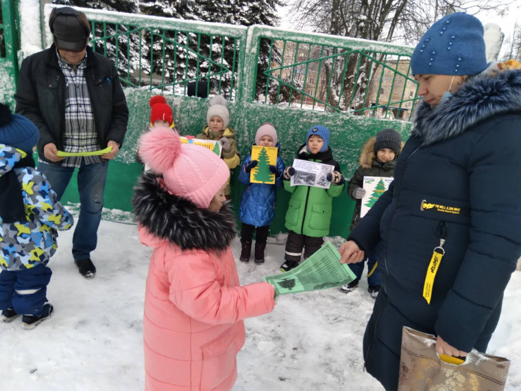 Акция &quot;Елочка, живи!&quot;.