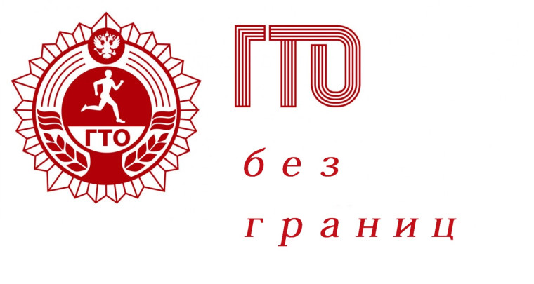 Фестиваль комплекса ГТО среди инвалидов и лиц с ограниченными возможностями.