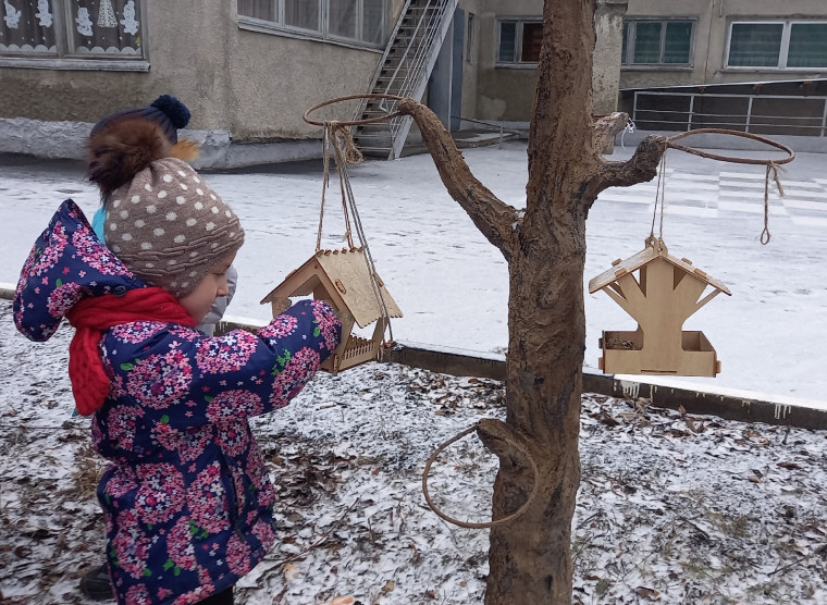 Эколята-дошколята заботятся о зимующих птицах.
